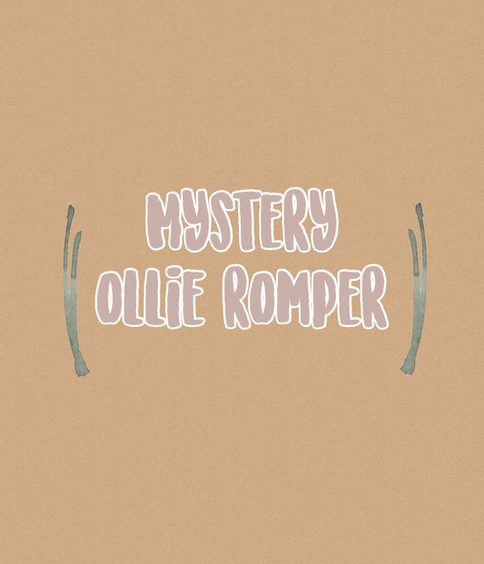 Mystery Ollie romper